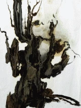 (10/15): The tree 2002 monotype